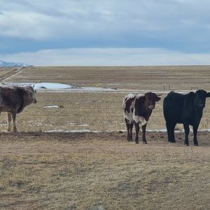Meet your Posher, Gary